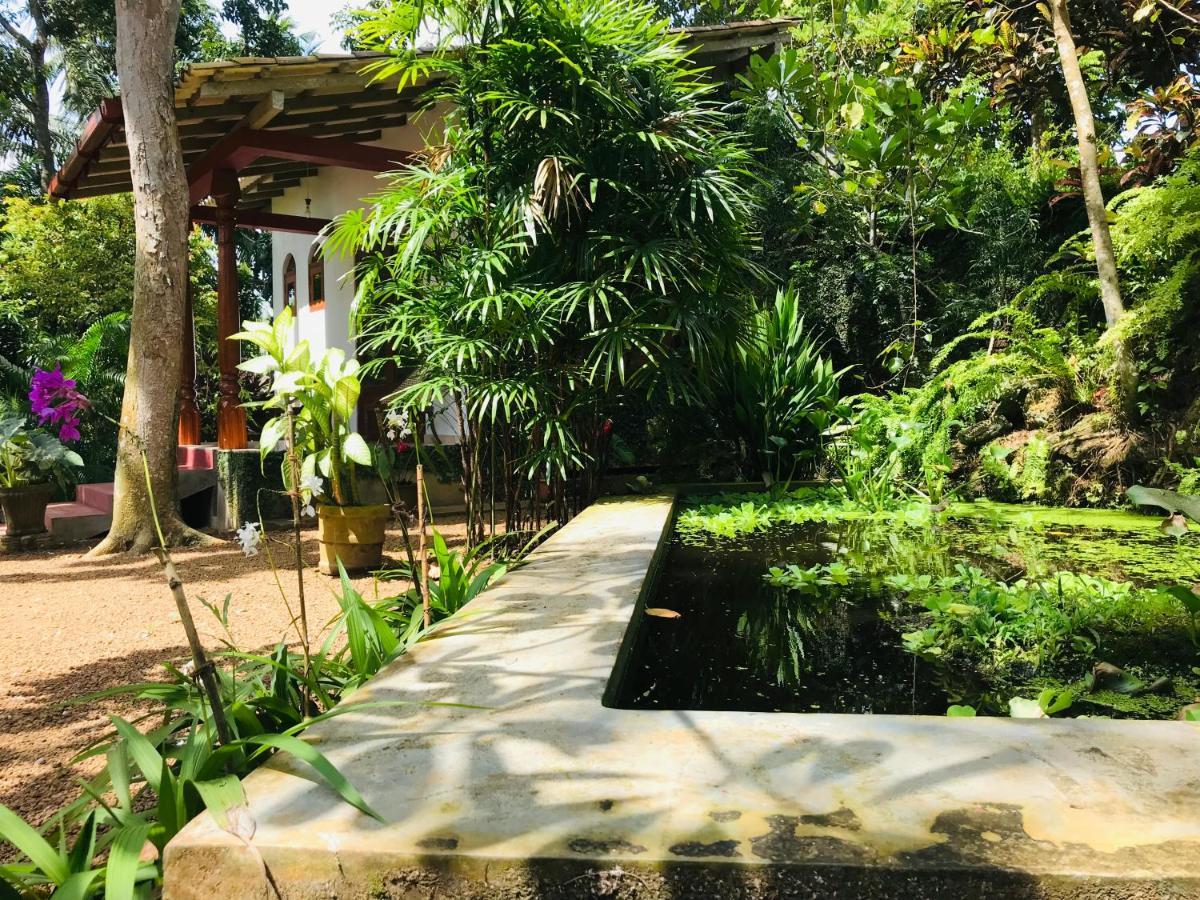 Swarnapaya Residence Bentota Exteriér fotografie