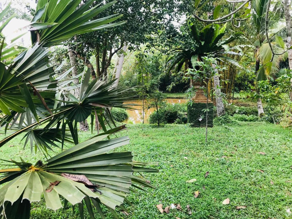 Swarnapaya Residence Bentota Exteriér fotografie
